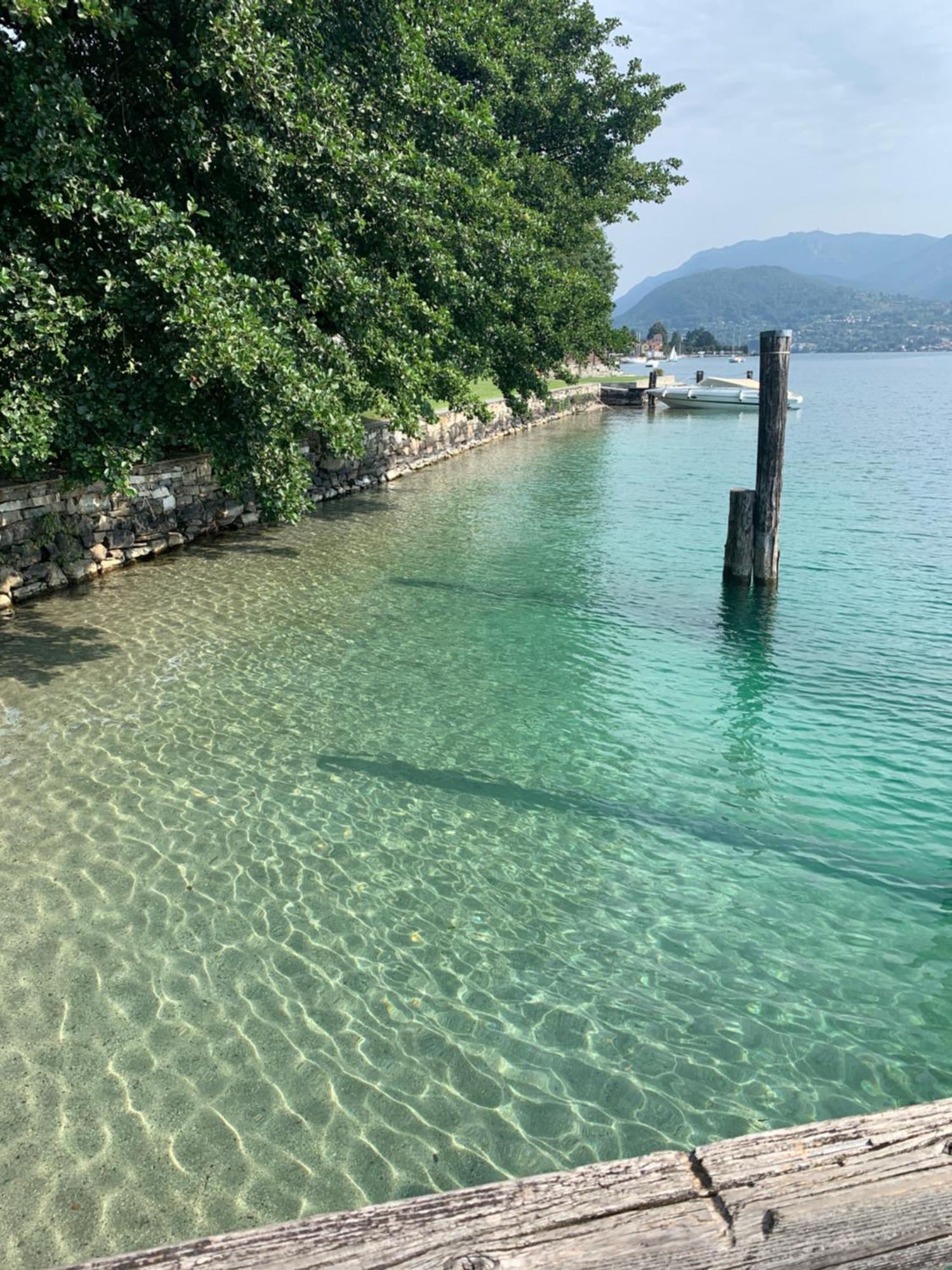 -Ortaflats- Appartamento L'Isola Orta San Giulio Bagian luar foto